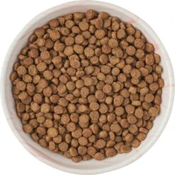 Frisco Marble Design Non-skid Ceramic Cat Dish -Frisco 256127 PT5. AC SS1800 V1615321285