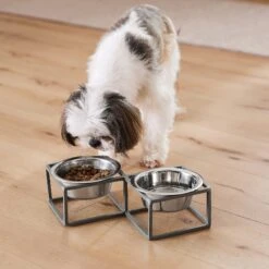 Frisco Elevated Diamond Stainless Steel Double Diner Dog & Cat Bowl -Frisco 257147 PT8. AC SS1800 V1615840442