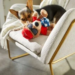 Frisco Road Trip Tourist Bear Plush Squeaky Dog Toy -Frisco 261995 PT3. AC SS1800 V1618598730