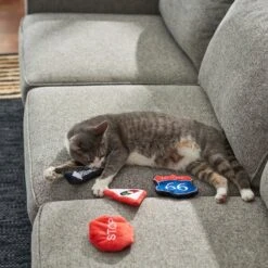 Frisco Road Trip Traffic Signs Plush Cat Toy With Catnip 7 Frisco Road Trip Traffic Signs Plush Cat Toy With Catnip -Frisco 262024 PT3. AC SS1800 V1618598335