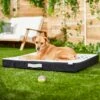 Frisco Indoor/Outdoor Arrow Print Pillow Dog Bed W/Removable Cover 2 Frisco Indoor/Outdoor Arrow Print Pillow Dog Bed W/Removable Cover -Frisco 262153 MAIN. AC SS1800 V1619807962
