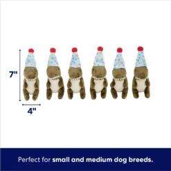 Frisco Birthday Volcano & Dinosaurs Hide & Seek Puzzle Plush Squeaky Dog Toy 11 Frisco Birthday Volcano & Dinosaurs Hide & Seek Puzzle Plush Squeaky Dog Toy -Frisco 264424 PT2. AC SS1800 V1695761147