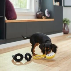 Frisco Magic Pocket Watch & Glasses Plush Squeaky Dog Toy, 2 Count -Frisco 265590 PT3. AC SS1800 V1620938935