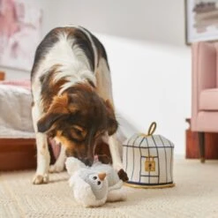 Frisco Magic Owl & Cage 2-in-1 Plush Squeaky Dog Toy -Frisco 265592 PT3. AC SS1800 V1620938916