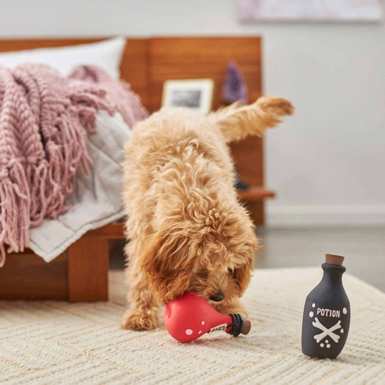 Frisco Magic Potions Latex Squeaky Dog Toy, 2 Count 5 Frisco Magic Potions Latex Squeaky Dog Toy, 2 Count - Image 3