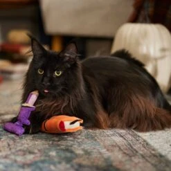 Frisco Halloween Enchanted Book & Candle Plush Cat Toy With Catnip, 2 Count 8 Frisco Halloween Enchanted Book & Candle Plush Cat Toy With Catnip, 2 Count -Frisco 270321 PT3. AC SS1800 V1689878926