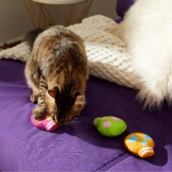 Frisco Colorful Skulls Plush Cat Toy With Catnip, 3 Count 9 Frisco Colorful Skulls Plush Cat Toy With Catnip, 3 Count -Frisco 270325 PT3. AC SS1800 V1630350992