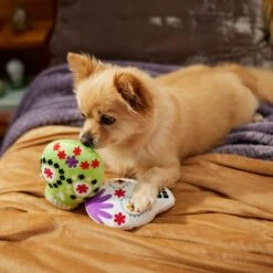 Frisco Halloween Day Of The Dead Sugar Skull Plush Squeaky Dog Toy, 2 Count 9 Frisco Halloween Day Of The Dead Sugar Skull Plush Squeaky Dog Toy, 2 Count -Frisco 270443 PT3. AC SS1800 V1624824826