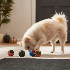 Frisco Halloween Glow In The Dark Fetch Squeaky Tennis Ball Dog Toy 10 Frisco Halloween Glow In The Dark Fetch Squeaky Tennis Ball Dog Toy -Frisco 270525 PT3. AC SS1800 V1624824980