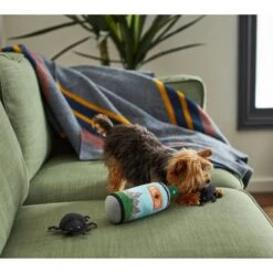 Frisco Camping Bug Spray Plush Squeaky Dog Toy, 3 Count -Frisco 270989 PT3. AC SS1800 V1625009020