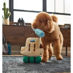 Frisco Camping Backpack Plush Squeaky Dog Toy -Frisco 271005 PT3. AC SS1800 V1625009263