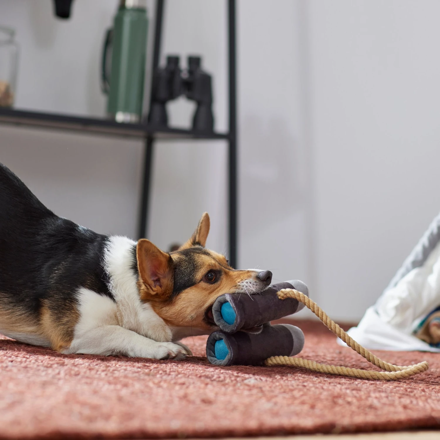 Frisco Camping Binoculars Plush With Rope Squeaky Dog Toy 5 Frisco Camping Binoculars Plush With Rope Squeaky Dog Toy - Image 3