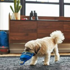 Frisco Camping Canteen Plush With Rope Squeaky Dog Toy 7 Frisco Camping Canteen Plush With Rope Squeaky Dog Toy -Frisco 271022 PT3. AC SS1800 V1625009237