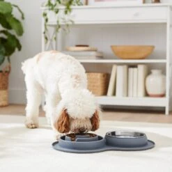 Frisco Silicone Stainless Steel Double Diner Slow Feeder Dog & Cat Bowl, Grey, 3 Cup 9 Frisco Silicone Stainless Steel Double Diner Slow Feeder Dog & Cat Bowl, Grey, 3 Cup -Frisco 277549 PT2. AC SS1800 V1630346823