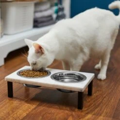 Frisco Marble Elevated Stainless Steel Double Diner Dog & Cat Bowls 11 Frisco Marble Elevated Stainless Steel Double Diner Dog & Cat Bowls -Frisco 277559 PT3. AC SS1800 V1630347820