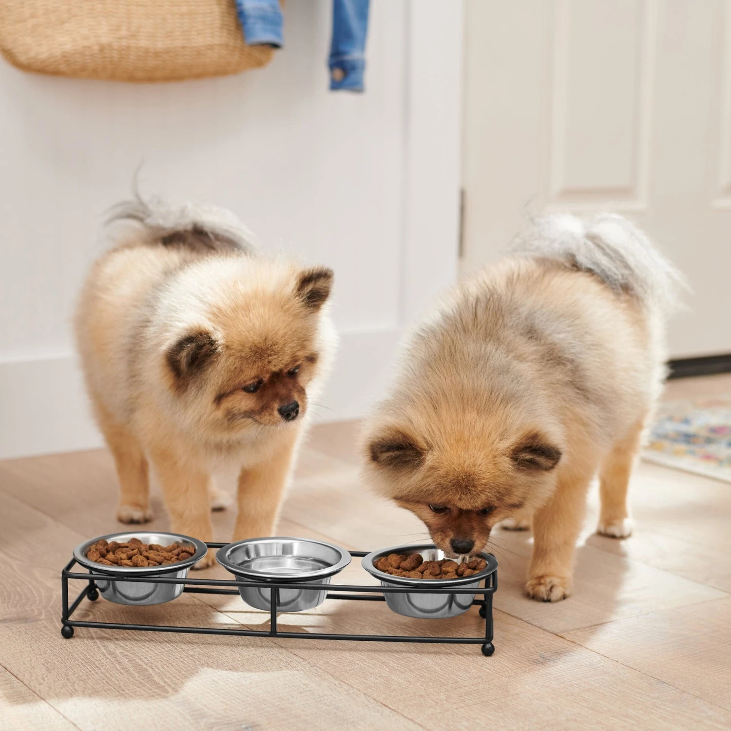 Frisco Multi Pet Feeding 3-Bowls Straight Stainless Steel Dog & Cat Bowl 5 Frisco Multi Pet Feeding 3-Bowls Straight Stainless Steel Dog & Cat Bowl - Image 3