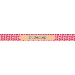 Frisco General Pet Ceramic Personalized Dog & Cat Bowl 8 Frisco General Pet Ceramic Personalized Dog & Cat Bowl -Frisco 278922 PT2. AC SS1800 V1629147272