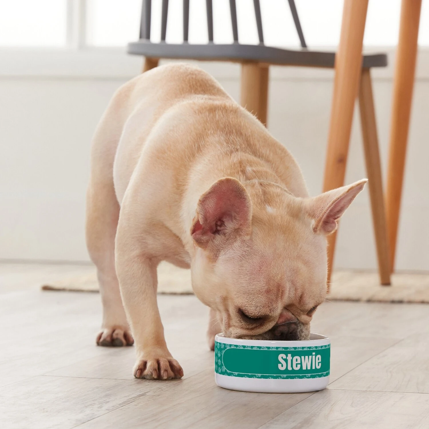 Frisco Personalized General Dog & Cat Small Dog Bowl 6 Frisco Personalized General Dog & Cat Small Dog Bowl - Image 4