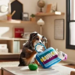 Frisco Back To School Lunchbox With Juice & Apple Plush With Rope Squeaky Dog Toy 7 Frisco Back To School Lunchbox With Juice & Apple Plush With Rope Squeaky Dog Toy -Frisco 279427 PT3. AC SS1800 V1628191372