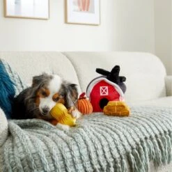 Frisco Fall Farmhouse Hide & Seek Puzzle Plush Squeaky Dog Toy -Frisco 285629 PT3. AC SS1800 V1629725107