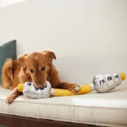 Frisco Weight Bar Wagazoo Plush Squeaky Dog Toy -Frisco 288917 PT3. AC SS1800 V1638292413