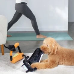 Frisco Treadmill & Bike Plush Squeaky Dog Toy, 2 Count 7 Frisco Treadmill & Bike Plush Squeaky Dog Toy, 2 Count -Frisco 288921 PT3. AC SS1800 V1638290517