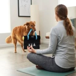 Frisco Yoga Mat Plush Squeaky Dog Toy -Frisco 288923 PT3. AC SS1800 V1638290551