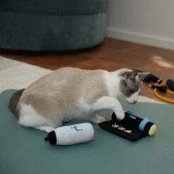 Frisco Yoga Mat & Water Bottle Plush Cat Toy With Catnip, 2 Count -Frisco 288955 PT3. AC SS1800 V1638289648