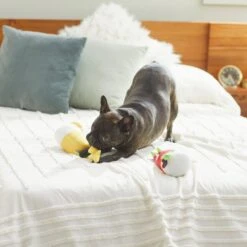 Frisco Brunch Bottomless Mimosas Plush Squeaky Dog Toy, 2 Count 7 Frisco Brunch Bottomless Mimosas Plush Squeaky Dog Toy, 2 Count -Frisco 297226 PT2. AC SS1800 V1642088368