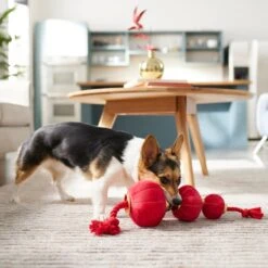 Frisco Lunar New Year Lantern Plush With Rope Squeaky Dog Toy 7 Frisco Lunar New Year Lantern Plush With Rope Squeaky Dog Toy -Frisco 298885 PT3. AC SS1800 V1640269279