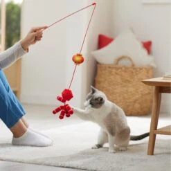 Frisco Lunar New Year Firecracker & Lantern Teaser Cat Toy With Catnip 7 Frisco Lunar New Year Firecracker & Lantern Teaser Cat Toy With Catnip -Frisco 298901 PT3. AC SS1800 V1640269210