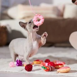 Frisco Valentine Variety Pack Cat Toy With Catnip, 13 Count 10 Frisco Valentine Variety Pack Cat Toy With Catnip, 13 Count -Frisco 298966 PT3. AC SS1800 V1701364858