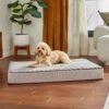 Frisco Ortho Lounger Dog & Cat Bed 2 Frisco Ortho Lounger Dog & Cat Bed -Frisco 299465 MAIN. AC SS1800 V1638288352