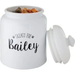 Frisco Ceramic "Treats For" Personalized Treat Jar, 13 Cup, 104oz -Frisco 301185 PT4. AC SS1800 V1630732926