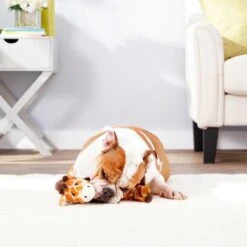 Frisco Giraffe Bungee Plush Squeaky Dog Toy & Frisco Sloth Bungee Plush Squeaky Dog Toy 15 Frisco Giraffe Bungee Plush Squeaky Dog Toy & Frisco Sloth Bungee Plush Squeaky Dog Toy -Frisco 302402 PT4. AC SS1800 V1623089556