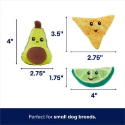 Frisco Guacamole Hide & Seek Puzzle Plush Squeaky Dog Toy & Frisco Guacamole Hide & Seek Puzzle Plush Squeaky Dog Toy Refills -Frisco 302478 PT3. AC SS1800 V1693327405