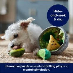 Frisco Guacamole Hide & Seek Puzzle Plush Squeaky Dog Toy & Frisco Guacamole Hide & Seek Puzzle Plush Squeaky Dog Toy Refills -Frisco 302478 PT4. AC SS1800 V1693327290