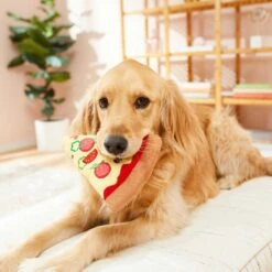 Frisco Pizza Slice Plush Squeaky Dog Toy & Frisco Taco Plush Squeaky Dog Toy -Frisco 302494 PT3. AC SS1800 V1623051762