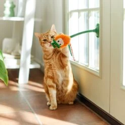 Frisco St. Patrick's Leprechaun Suction Cup Teaser Cat Toy With Catnip -Frisco 303110 PT3. AC SS1800 V1641230446
