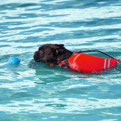 Frisco Active Dog Life Jacket & Frisco Foam Rubber Floating Fetch Ball No Squeak Dog Toy -Frisco 303364 PT8. AC SS1800 V1623163654