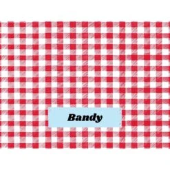 Frisco Personalized Gingham Plaid Sherpa Cat & Dog Blanket, 30" X 40" -Frisco 303834 PT4. AC SS1800 V1637610144