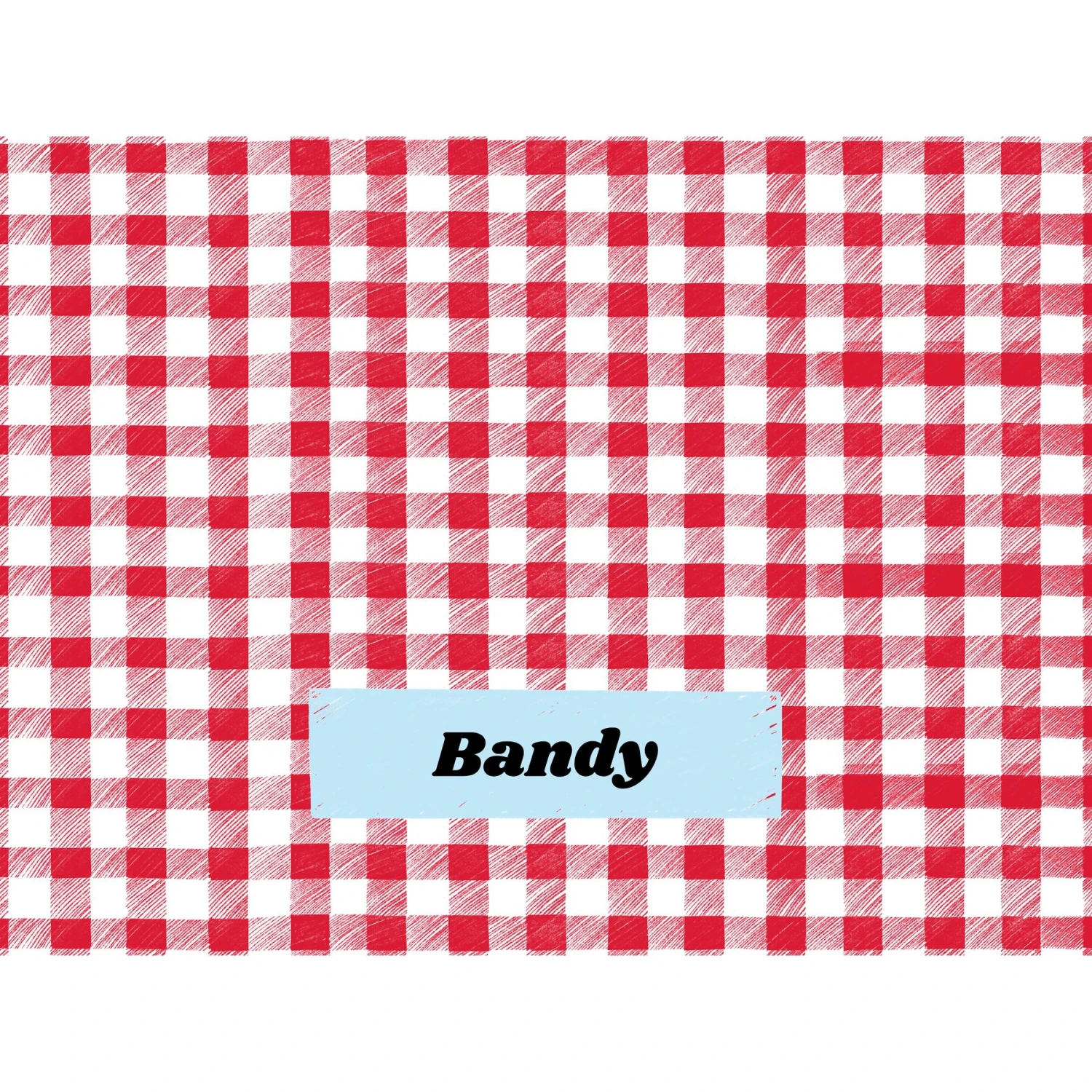 Frisco Personalized Gingham Plaid Soft Fleece Cat & Dog Blanket, 30" X 40" 7 Frisco Personalized Gingham Plaid Soft Fleece Cat & Dog Blanket, 30" X 40" - Image 5