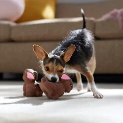 Frisco Easter Chocolate Bunnies Latex Squeaky Dog Toy -Frisco 304956 PT4. AC SS1800 V1700162989