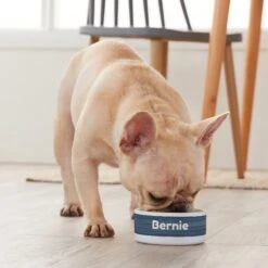 Frisco Heathered Personalized Dog & Cat Bowl -Frisco 306766 PT4. AC SS1800 V1639518097