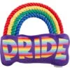 Frisco Pride Rainbow Plush With Rope Squeaky Dog Toy -Frisco 331653 MAIN. AC SS1800 V1649086609