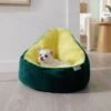 Frisco Avocado Cat & Dog Bed 2 Frisco Avocado Cat & Dog Bed -Frisco 333856 MAIN. AC SS1800 V1658717997