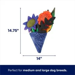 Frisco Halloween Bouquet Plush Squeaky Dog Toy -Frisco 344018 PT1. AC SS1800 V1689878846