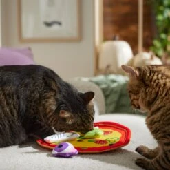 Frisco Halloween Spooky Pizza Interactive Plush Cat Toy With Catnip -Frisco 344066 PT3. AC SS1800 V1657657031