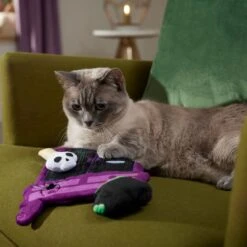 Frisco Halloween Magical Wardrobe Interactive Plush Cat Toy With Catnip 8 Frisco Halloween Magical Wardrobe Interactive Plush Cat Toy With Catnip -Frisco 344078 PT3. AC SS1800 V1657657033