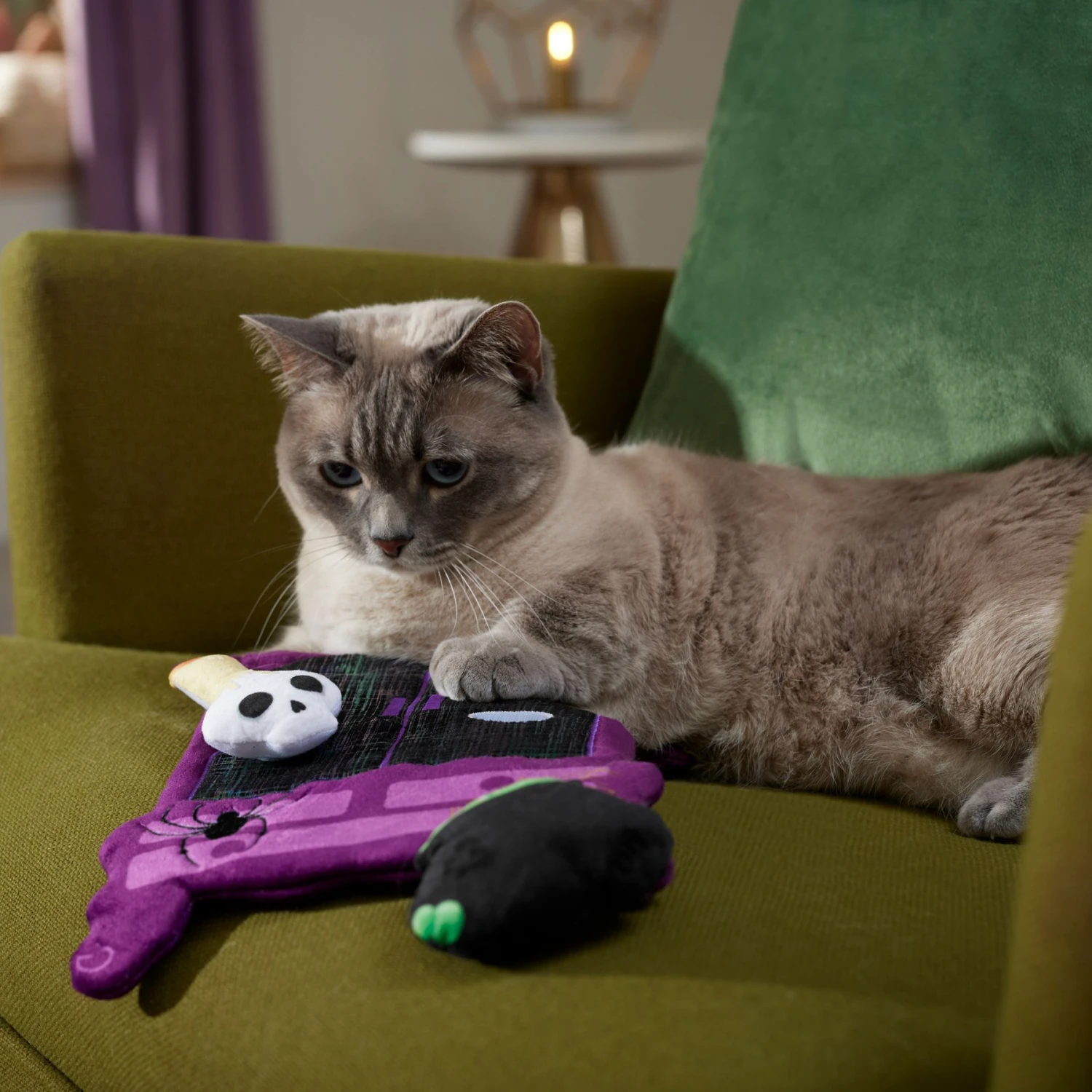 Frisco Halloween Magical Wardrobe Interactive Plush Cat Toy With Catnip 5 Frisco Halloween Magical Wardrobe Interactive Plush Cat Toy With Catnip - Image 3